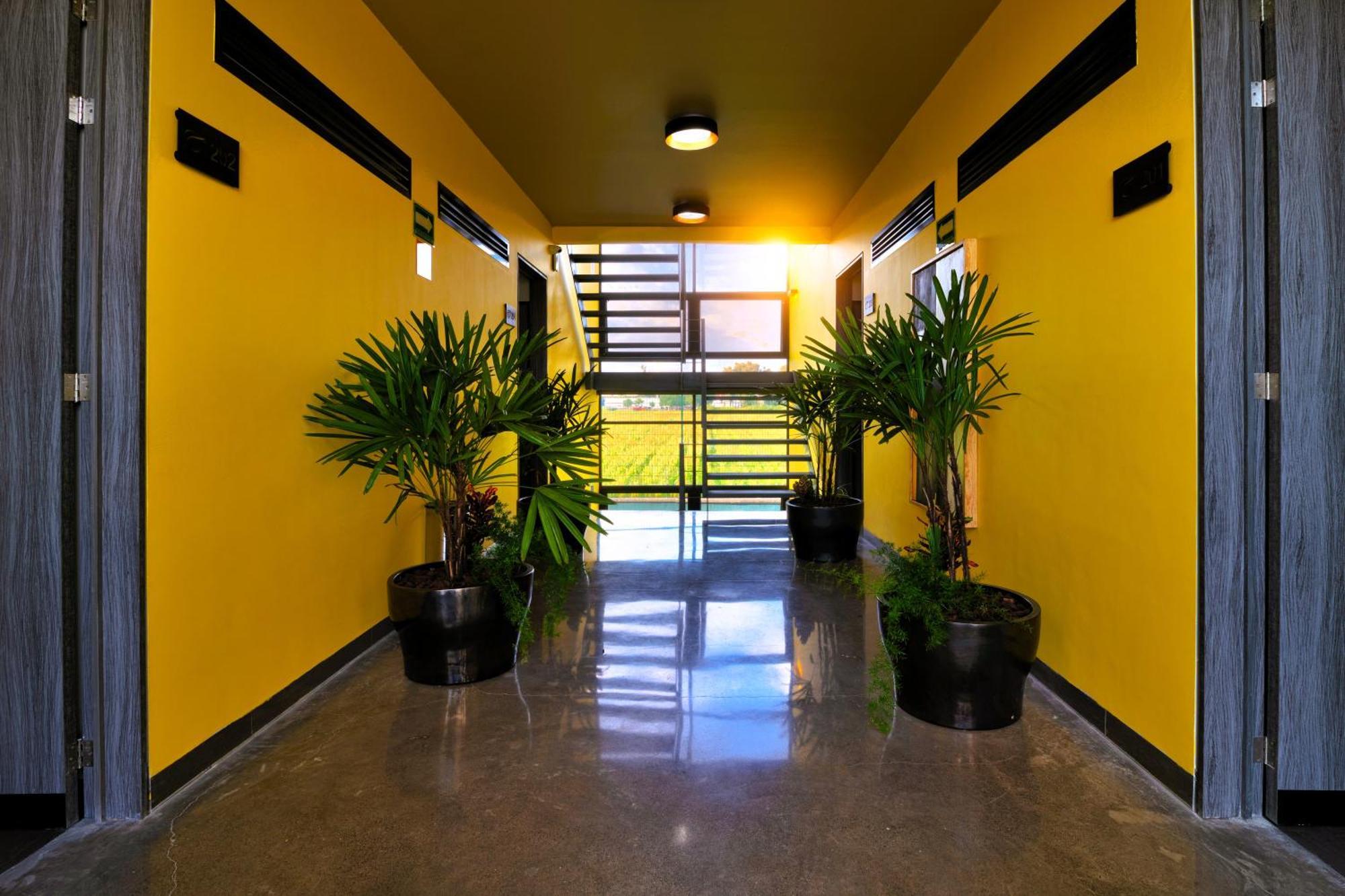 Aparthotel Arboleda 5 Luxury Lofts Silao Exterior foto